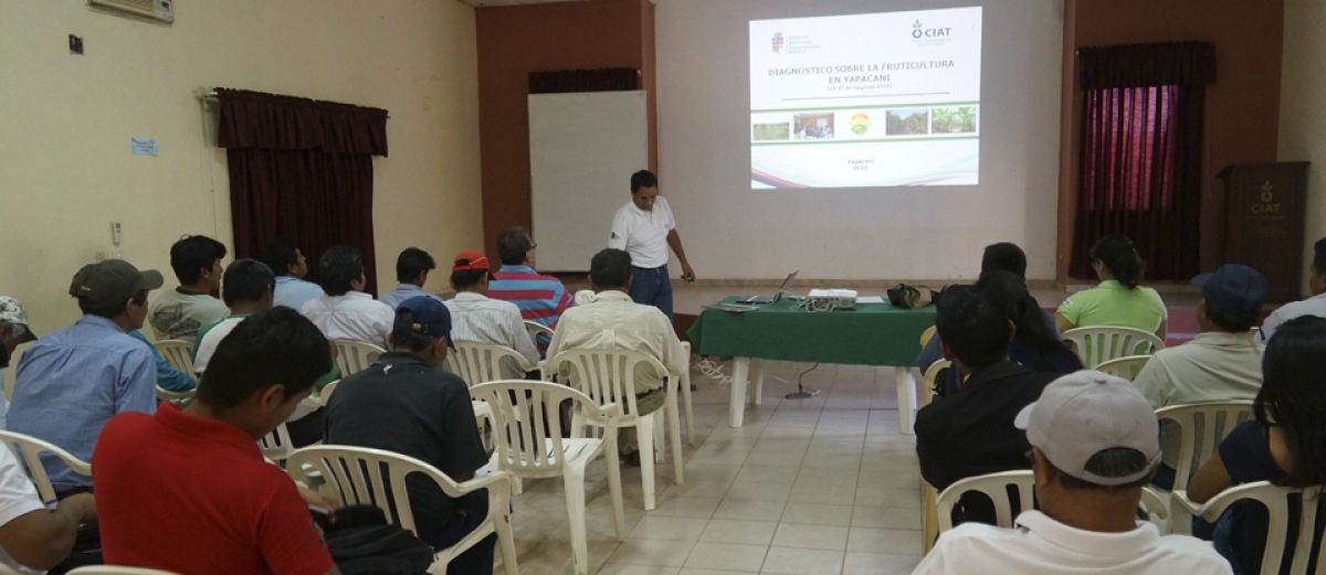 El CIAT entrega diagnóstico sobre la situación actual de la fruticultura en Yapacaní