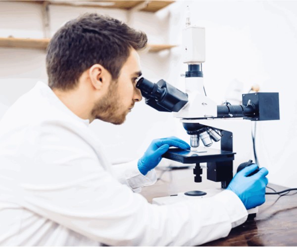 Control de Calidad de Inoculantes